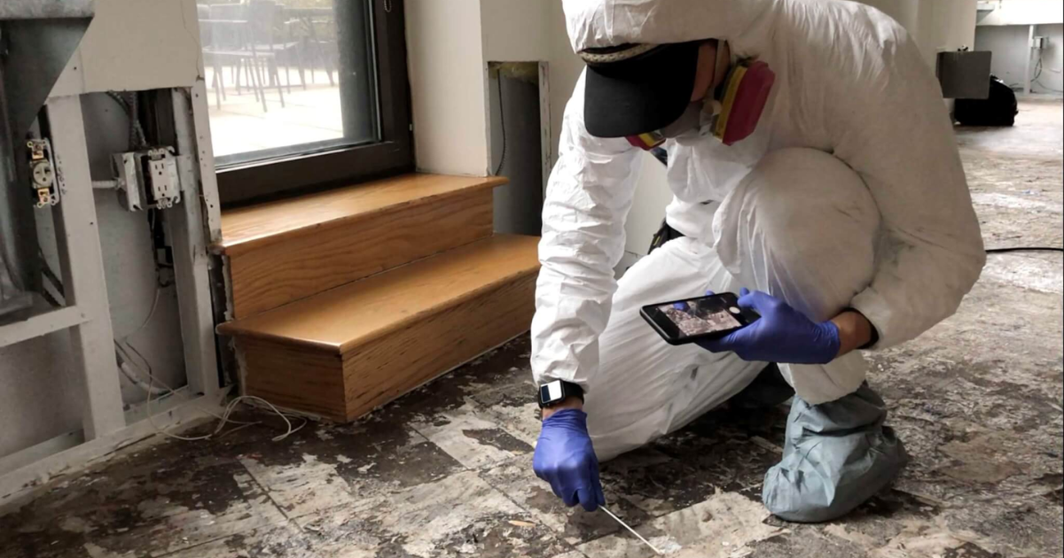 Emergency Termite Inspection Los Angeles Same Day: Your Urgent Pest Solution Guide